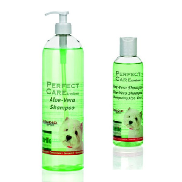 Perfect Care