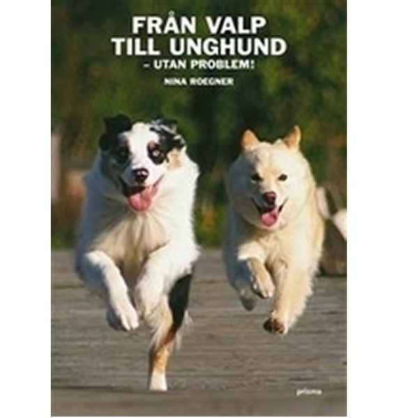 Valp & Unghund