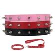 ESC Studded Halsband