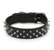Deluxe Spiked Läderhalsband